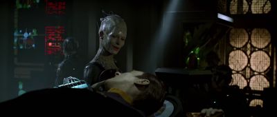 Are you their leader - Star Trek: First Contact