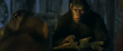 Are there more like you? - War for the Planet of the Apes
