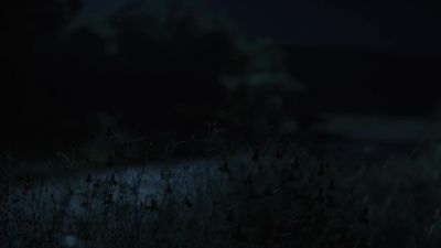 Are you there? - Fear the Walking Dead