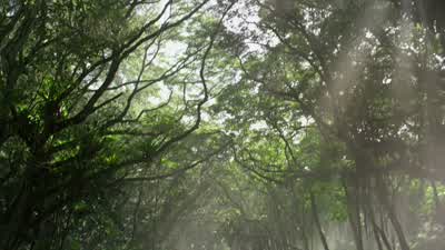 Are we there yet? - Journey 2: The Mysterious Island
