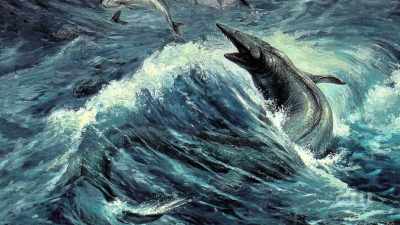 Are these widespread - Mysteries Decoded