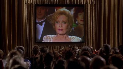 Are you thinking what I'm thinking - Naked Gun 33 1/3: The Final Insult