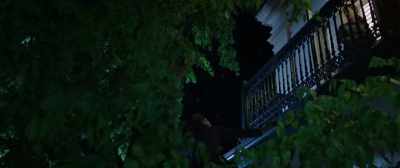 Are you trying to kill yourself? You'll fall. - Boys in the Trees