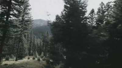 Are unique. - Missing 411: The Hunted