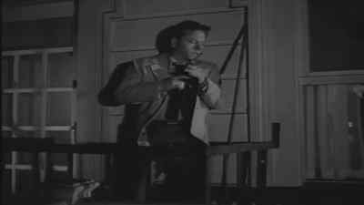 Are you Vera Novak? - Quicksand