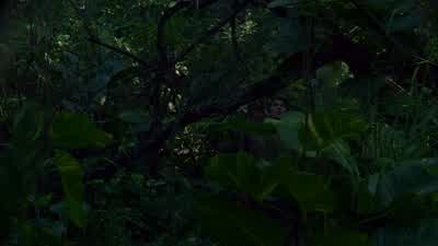 Are we going the right direction? - Lost