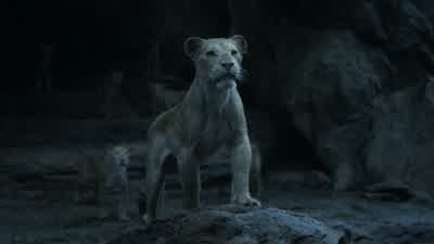Are you with me lions - The Lion King