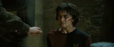 Are you all right, Potter? - Harry Potter and the Goblet of Fire