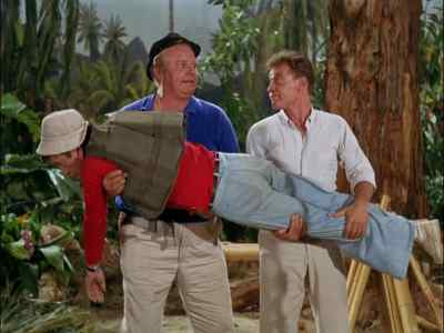 ARE YOU ALRIGHT,
LITTLE BUDDY? - Gilligan's Island