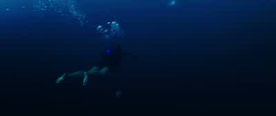 Are you doing okay, Lisa? - 47 Meters Down