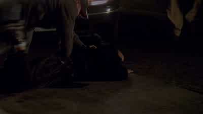 - Are you fucking serious? - The Wire