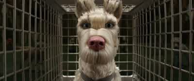 Are you going to eat me now? - Isle of Dogs