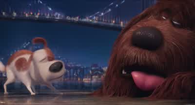 Are you... - The Secret Life of Pets