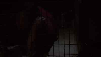 Are you
still in there? - The Following