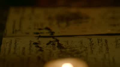 Are you sure about this? - Legacies