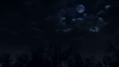 Are you sure we're going in the right direction? - Teen Wolf