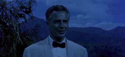 Aren't they adorable? - South Pacific