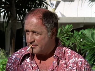 AREN'T YOU GOING TO COUNT IT? - Hawaii Five-O