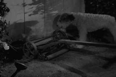 [ARF ARF] - After the Thin Man