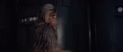 Argh! Get behind me. Get behind me. - Star Wars: Episode IV   A New Hope