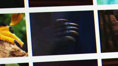 Armadillo? No. - Creepshow