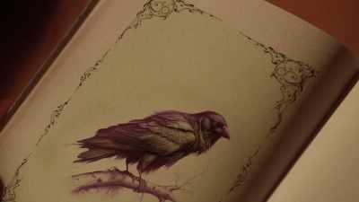 "Arms like wings, skin
saggy and drooping - Treasure Trackers