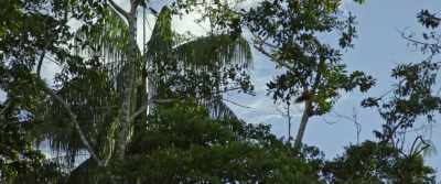 (Arnie): The key issue isn't, - The Last Tourist