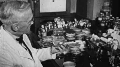 Around a spot of mould
that had probably grown - Aussie Inventions That Changed The World