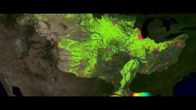 Around the world in our oceans - Cowspiracy: The Sustainability Secret