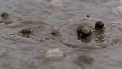Around two billion years
ago, when nothing lived
on Earth except microbes, - One Strange Rock