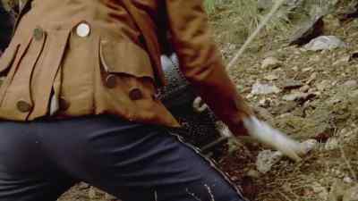 Arriba - Sharpe's Rifles