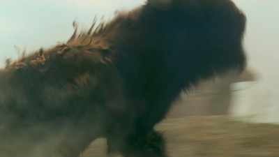 -(ARROWS WHISTLE)
-(BISON GROWLS) - Exterminate All the Brutes