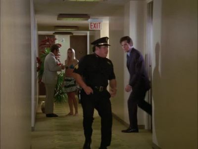 ART, ANYTHING? - Hawaii Five-0