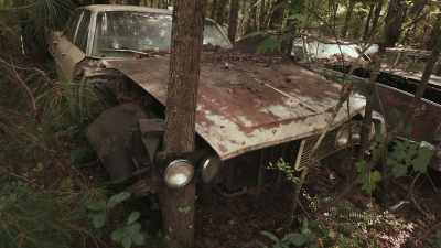 Art is the way
the vegetation, - Scrap