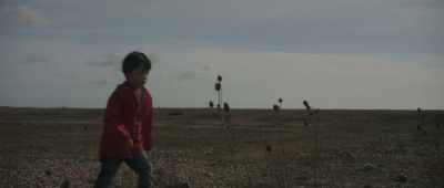As a child, I used to wander
off from home. - The Reason I Jump
