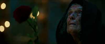 As a gift, she offered
the prince, a single rose. - Beauty and the Beast