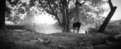 As a kid he heard
some Chinese story - The Misfits