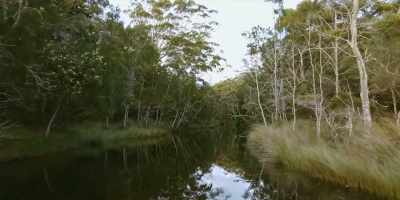 As a kid,
oh, we used to come up here - Revealed: How to Poison a Planet
