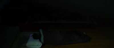 As a laid on the mattress, I'd
dozed off, - The Mothman Legacy
