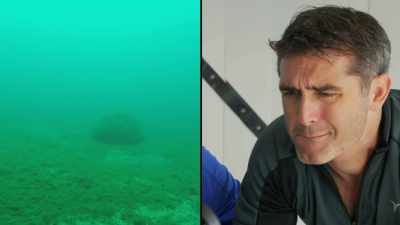 As a marine biologist, - Secrets of the Underground