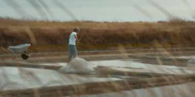 As a matter of fact,
we don't extract salt. - Omnivore