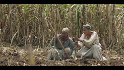 As a plantation owner, - The Long Song