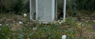 As a result, he changed his name - Master Gardener