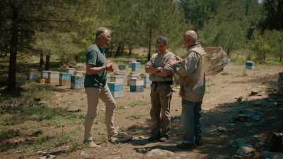 As a result,
they destroy the pollen grains, - Live to 100: Secrets of the Blue Zones