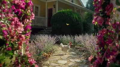 As a romantic suspense writer, - How to Murder Your Husband: The Nancy Brophy Story