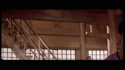 'As a screen fighter,
Lee was primarily a striker, - The Final Game of Death