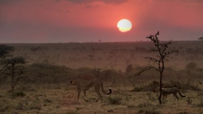 As a single mother, - Chasing the Rains