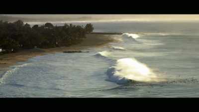 As a surfer, swimmer,
diver, and ocean-goer, - Envoy: Shark Cull