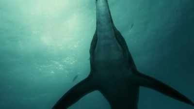 As an air-breathing creature, - Attenborough and the Sea Dragon