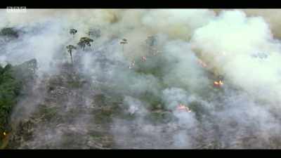 As an economist, I think it's right - Extinction: The Facts